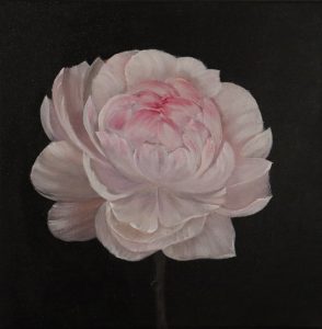 Pivoine. 30x30 cm. Prix €50